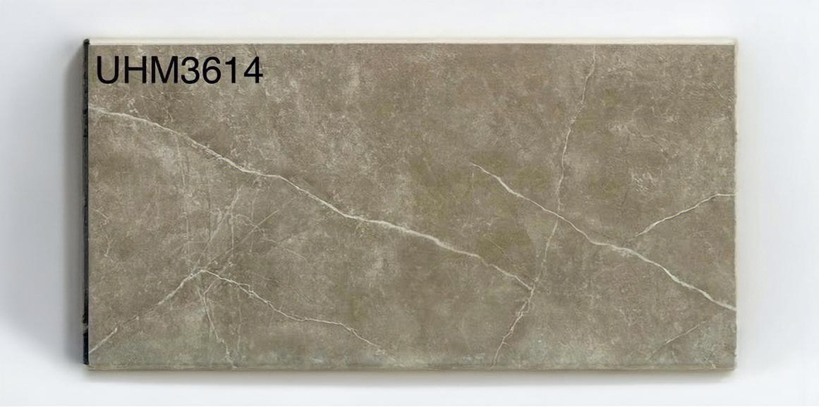 Gạch ốp lát 30x60cm Viglacera-5594