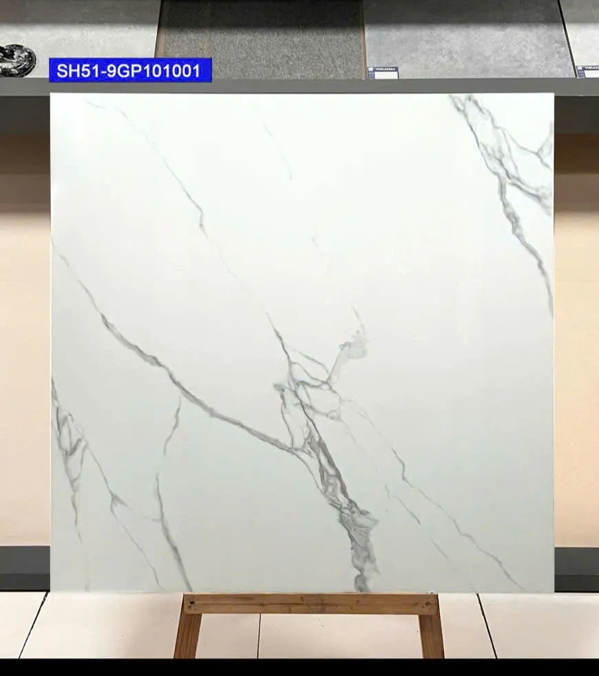 Gạch Lát Nền 100x100cm -5668