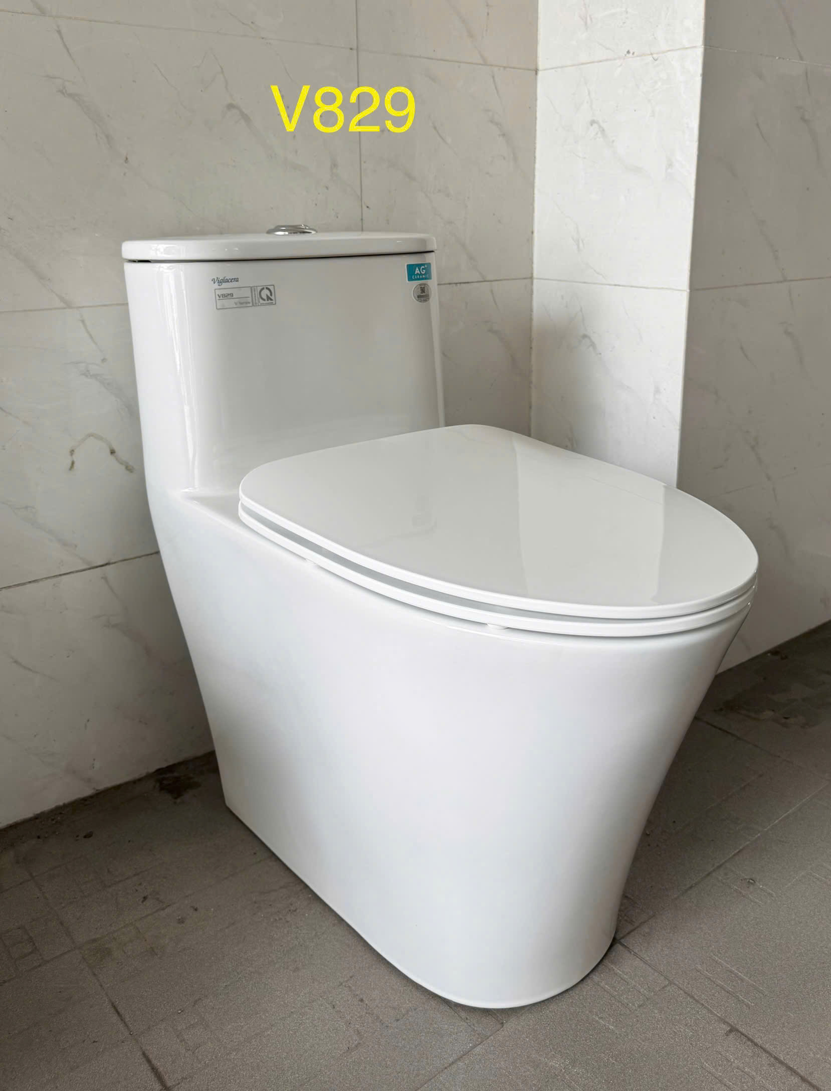 Cầu khối liền Viglacera V829-4561