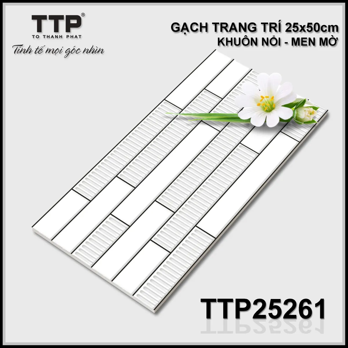 Gạch trang trí 25x50cm -5793