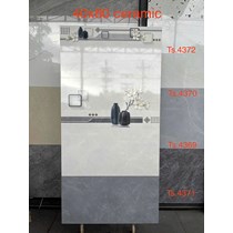 Gạch Ôp Tường 40x80 -5564