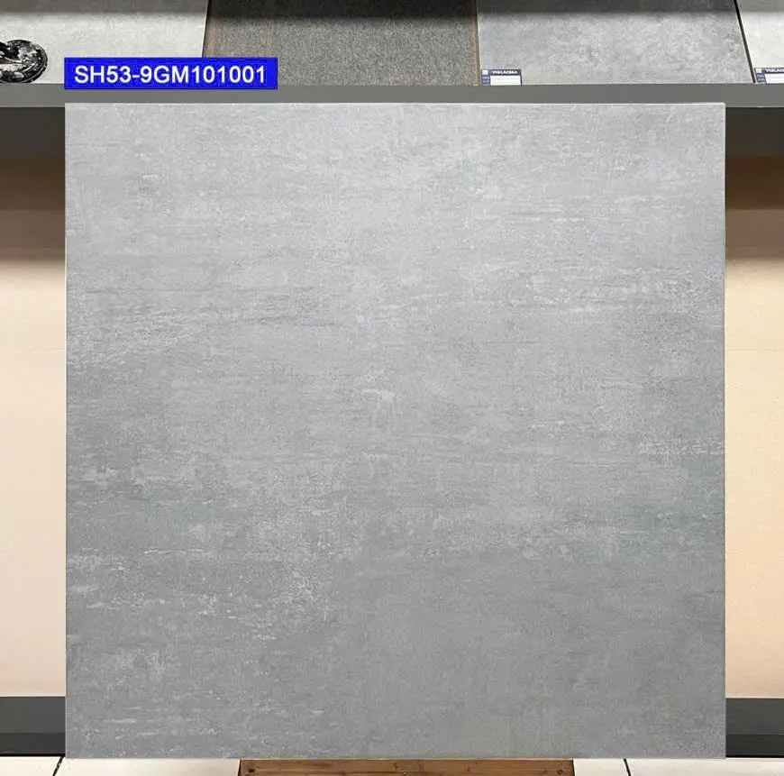 Gạch Lát Nền 100x100cm -5673