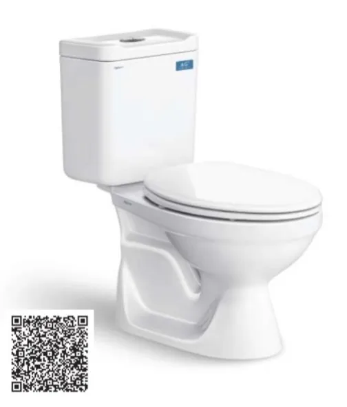Bồn cầu 2 khối Viglacera VT18M-3115