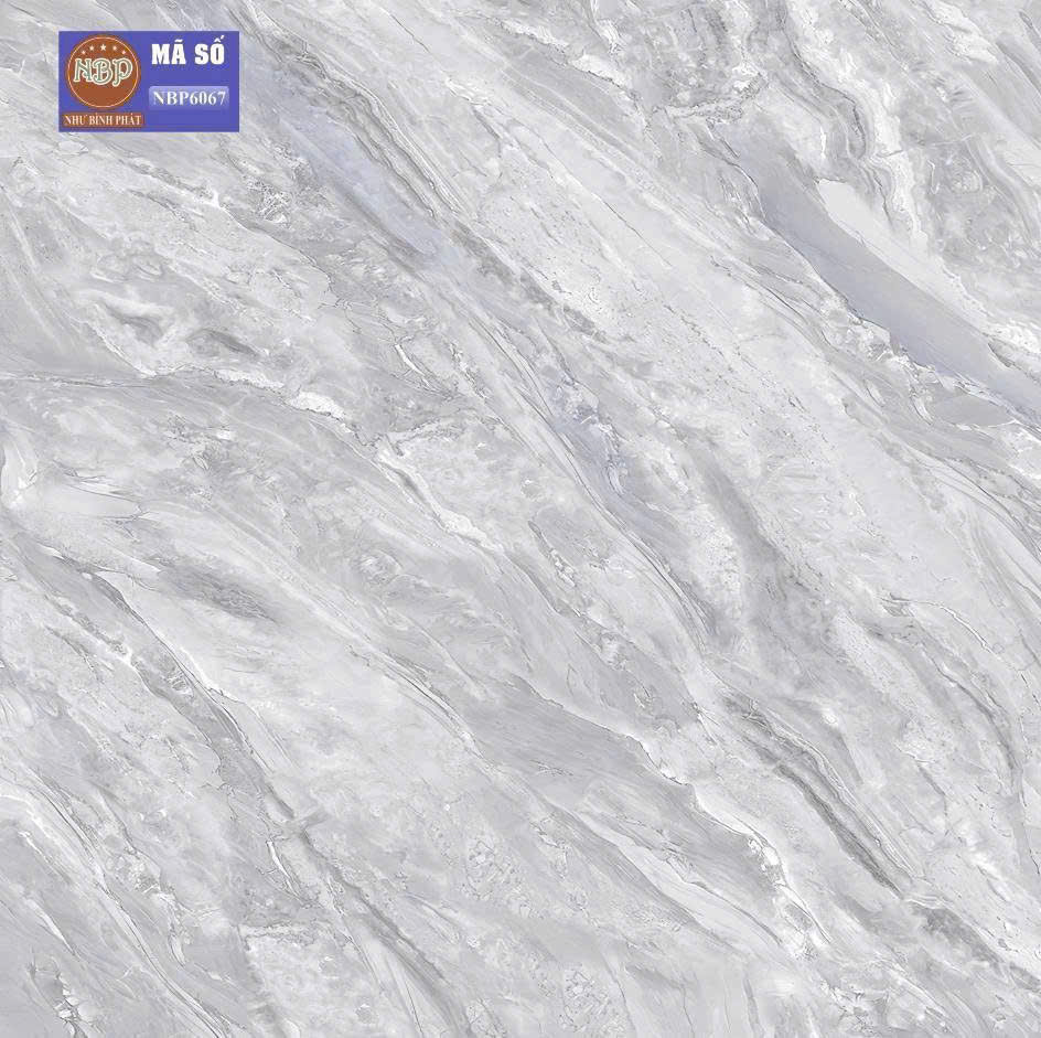 Gạch ốp lát 60x60cm-5682