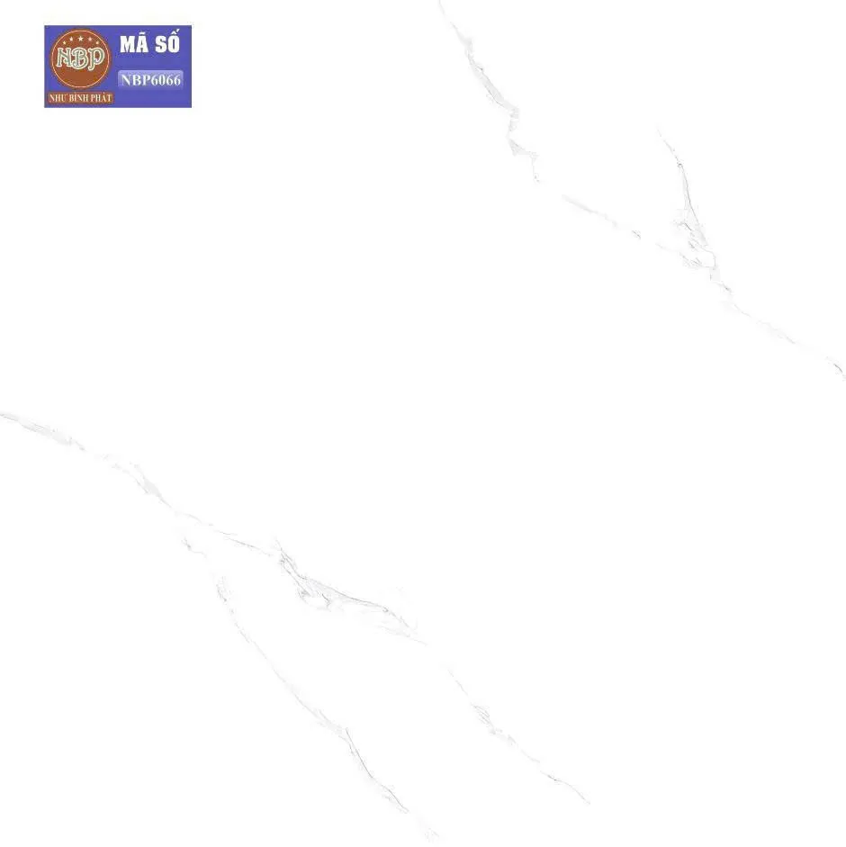 Gạch ốp lát  60x60cm-5721